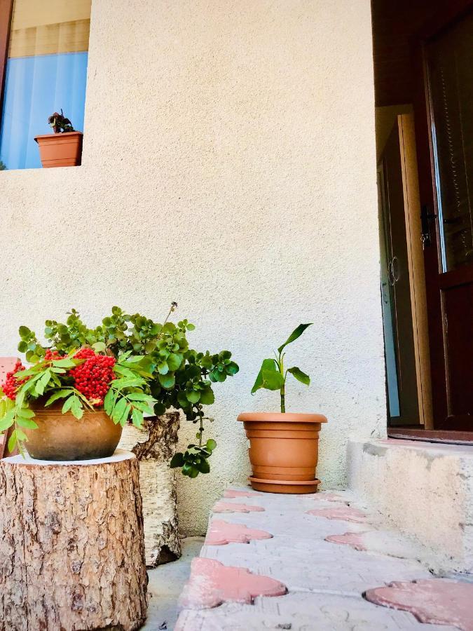 Guesthouse And Cottage Nicolo Kazbegi Exterior foto